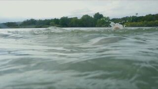 Mallory Hargrove - Bull Shark (2022) Topless Scene