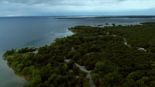 Mallory Hargrove - Bull Shark (2022) Topless Scene