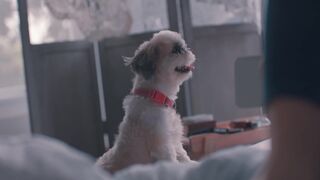 Rhian Ramos sexy - Watch Kung paano siya nawala (2018)