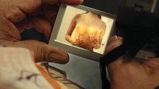 Eva Habermann, Celina Davis, Lucy Cat ⭐ Sky Sharks (2020)