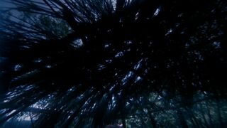 Ewa Swann nude - The Mad Heart (1970)