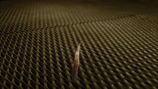 Paris Hilton Sexy - House of Wax (2005)