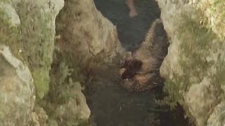 Phoebe Cates Paradise (1982)