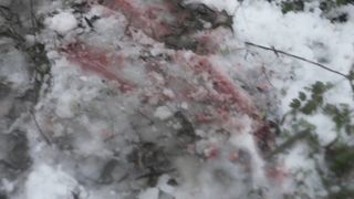 Pollyanna McIntosh nude, Lauryn Canny nude - Darlin (2019)