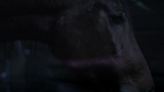 Solsikke Lausten nackt - Som Folger Solen (2013)