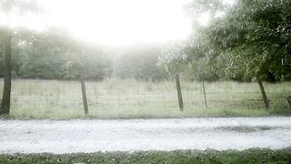 Sophia Takal Nude - 24 Exposures (2013)