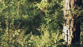 Stephanie Griffith, Taylor Hughes nude - American Paradice (2011)