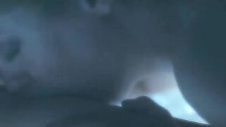 Susan Sarandon, Catherine Deneuve Nude - The Hunger (1983)