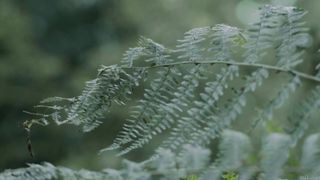 Tessie Herrasti - La Marche du Monde (2013)