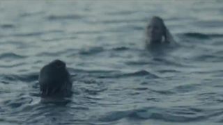 Thali Liberman Nude - Blikkfang (2011)