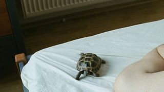 Gentle Sex Scene ⭐ Vica Kerekes nude ⭐ Nestyda (2008)