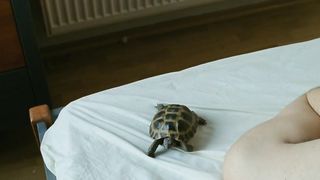 Vica Kerekes Nude - Nestyda (2008)