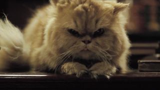 Laura Harring nude – Love in the Time of Cholera (2007)