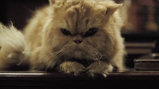 Laura Harring nude – Love in the Time of Cholera (2007)