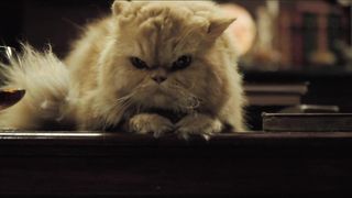 Laura Harring nude – Love in the Time of Cholera (2007)