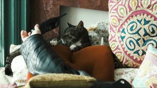 Laura Linney - The Savages (2007)