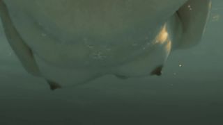 Leticia Leon naked- Molina's Borealis (2013)