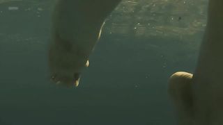 Leticia Leon nude - Molina's Borealis (2013)