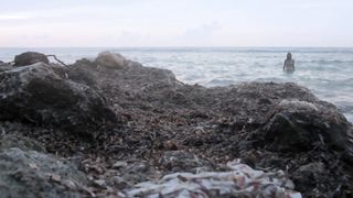 Leticia Leon nude - Sarima a.k.a. Molina's Borealis 2 (2014)