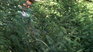 Louise Cliffe nude - Wrong Turn 3 (2009)