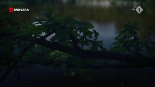 Malou Gorter nude - Oogappels s01e02 (2019)