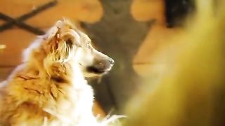 Marina Shako nude – Country Strike- EGO photoshoot (2010)