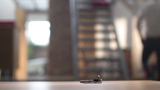 Michalina Olszanska nude - TIGER (2015)