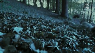 Nina Hoss nude – Das Herz Ist Ein Dunkler Wald (2007)