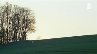 Nina Hoss nude – Das Herz Ist Ein Dunkler Wald (2007)