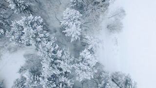 Anya Bay, Laura Aleman, Cerris Morgan-Moyer naked - Snowbound (2017)