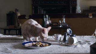 Florence Pugh nude, sex scene - Lady Macbeth (2016)