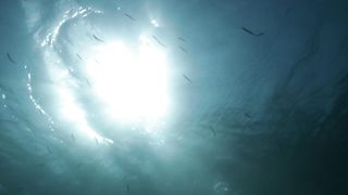 Gracija Filipovic, Vanesa Vidakovic Natrlin nude - Into the Blue (2017)