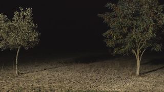 Audrey Le Bihan, Anne-Laure Gruet nude - Lea (2018)