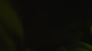 Lindsay Burdge nude, Esther Garrel, Lola Bessis naked - Thirst Street (2017)