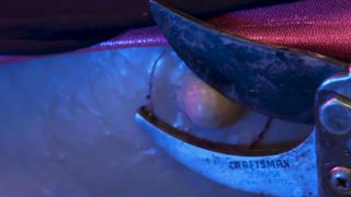 Lizzie Havoc, Sarah Michelle nude - Parts Unknown (2018)