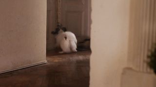 Sasa Pavlin Stosic nude - Prebujanja (2017)