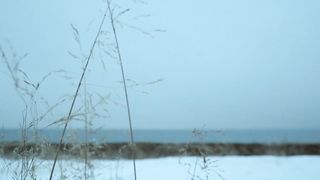 Ingvild Holthe Bygdnes, Guri Johnson nude - Monster (2017) (Season 1, Episode 5)