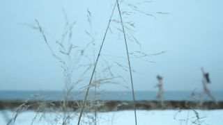 Ingvild Holthe Bygdnes, Guri Johnson nude - Monster (2017) (Season 1, Episode 5)