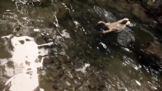 Antonia Morais, Mariah Rocha, Alessandra Negrini naked - Lucia McCartney (2016) (Season 1, Episode 6)