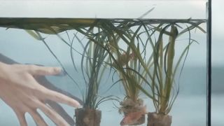 Eden Ducourant nude - Sweet Babylon (2018)