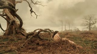 Emma Paetz sexy - Pennyworth (2019) (Season1, Episode6)