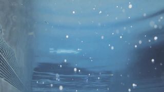 Alexis Payne, Meica Bradshaw, River Johnson - Valentino Khan 'Pump' (2017) Naked hot scene