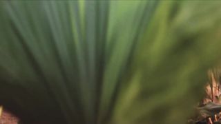 Barbara Evans - Dois Irmaos s01e03 (2017) Naked hot scene