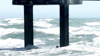 Claire Cetera - Biters (2020) Naked actress in a movie scene