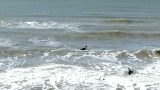 Claire Cetera - Biters (2020) Naked actress in a movie scene