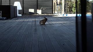 Helena Af Sandeberg - Morkt vatten (2012)