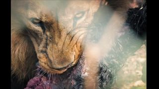 Jackie Moore - Grief (2017) Naked sexy video