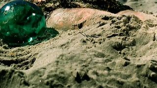 Joanna Pokojska - Siec (2003)