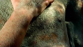 Joanna Pokojska - Siec (2003)