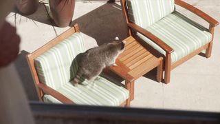 Maria Bamford - Lady Dynamite s02e01 (2017) Naked movie scene